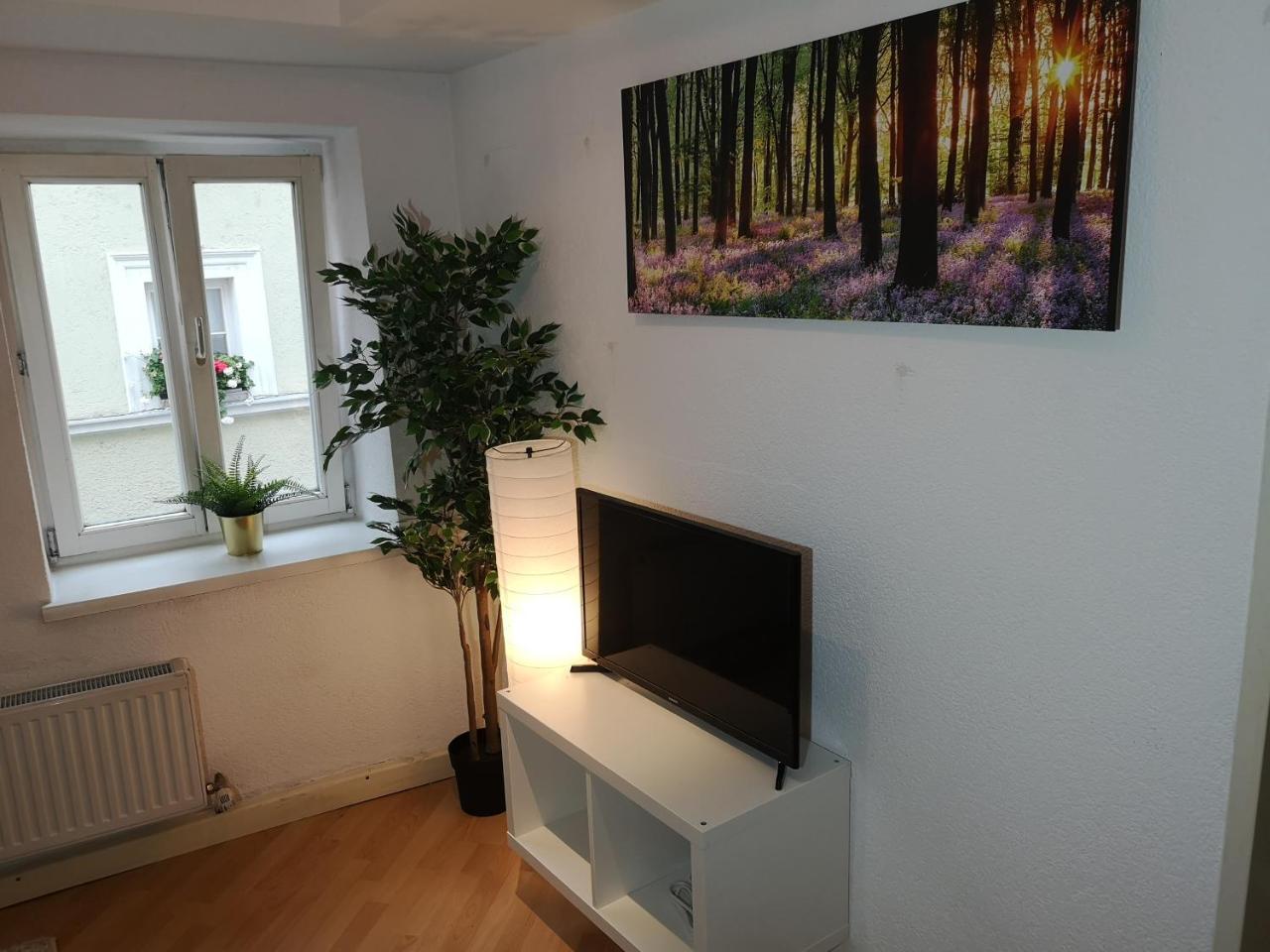 Innsbruck Old Town Apartment Екстер'єр фото
